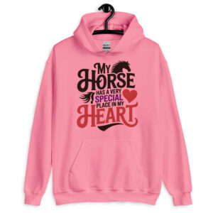 my horse has a very special place in my heart unisex cowgirl cowboy hoodie